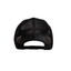 THIGHBRUSH® - LICKAMANIA - Trucker Snapback Hat - Black