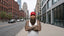 FITTED HATS - THIGHBRUSH®