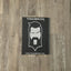 THIGHBRUSH® - Canvas Gallery Wrapped Print